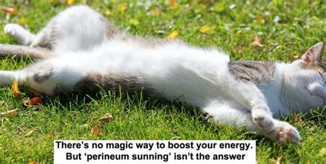 perineum sunning|There’s no magic way to boost your energy. But。